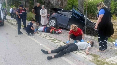 Kontrolden &ccedil;ıktı karşı şeride ge&ccedil;ip palmiyeye &ccedil;arptı: 2 yaralı
