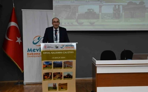 Konya&rsquo;nın kırsal a&ccedil;ıdan kalkınması i&ccedil;in MEVKA &ouml;nc&uuml;l&uuml;ğ&uuml;nde yeni yol haritası hazırlanacak
