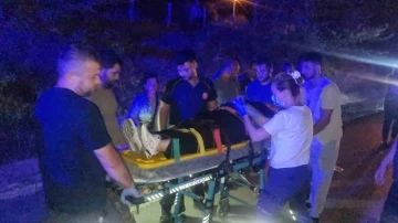 K&ouml;peğe &ccedil;arpmamak i&ccedil;in manevra yapan otomobil takla attı: 1 yaralı
