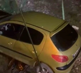 Sokağa fırlayan k&ouml;peğe manevra yapınca, otomobil şarampole u&ccedil;tu!