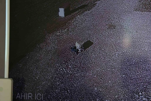 K&ouml;peğin &ccedil;ocuğa saldırdığı anlar g&uuml;venlik kamerasına yansıdı
