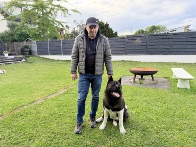 K&ouml;pek sahiplerine sigorta şartı