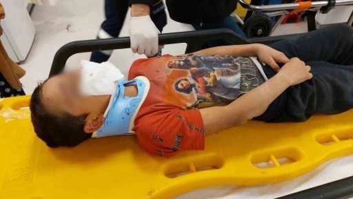 K&ouml;pekten ka&ccedil;an &ccedil;ocuğa ara&ccedil; &ccedil;arptı
