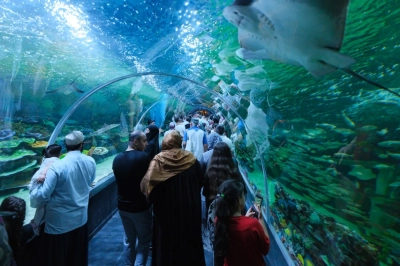 K&ouml;rfez Aqua A&ccedil;ılışı İle Şehirde Yankı Uyandırdı
