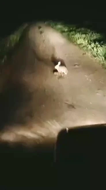 Korkmadı, ka&ccedil;madı... "Ana y&uuml;reği korku tanımaz"
