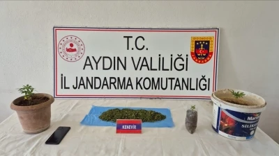 K&ouml;şk&rsquo;te uyuşturucu baskını: 1 g&ouml;zaltı
