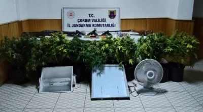 K&ouml;y evinde &ccedil;adır kurup skunk yetiştiren şahsa operasyon