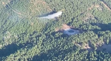 K&ouml;yceğiz&rsquo;de orman yangını b&uuml;y&uuml;meden s&ouml;nd&uuml;r&uuml;ld&uuml;
