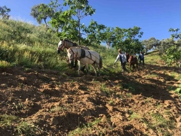 K&ouml;y&uuml;n&uuml; terk etmeyen gen&ccedil;ler g&uuml;nl&uuml;k 3 bin liraya &ccedil;alışıyor
