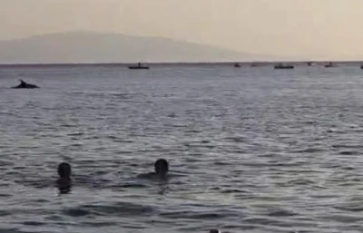 K&uuml;&ccedil;&uuml;kkumla'da vatandaş yunuslarla y&uuml;zd&uuml;