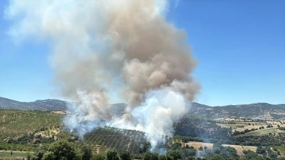 Kula'da orman yangınında 15 hektar alan zarar g&ouml;rd&uuml;