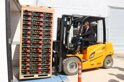 Kula&rsquo;nın jeotermal serasından Avrupa&rsquo;ya 500 ton domates ihracatı
