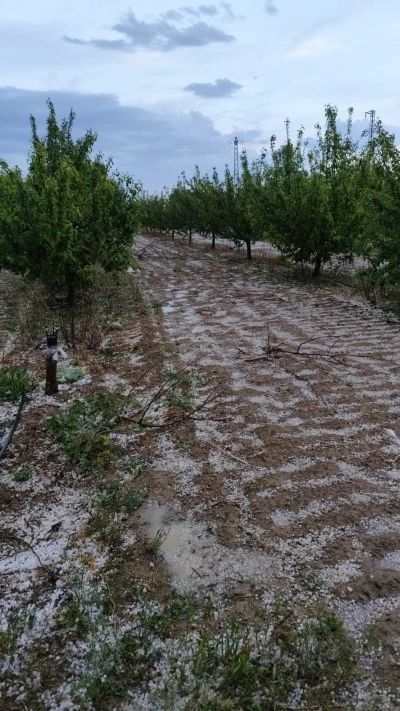 Kurak il&ccedil;eye d&uuml;şen yağmur &ccedil;ift&ccedil;iye umut oldu
