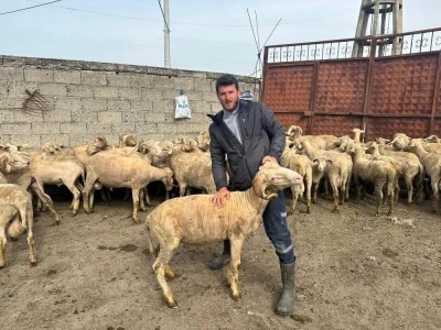 Kurbanlık parasıyla evlenmişti şimdi doğacak bebeği i&ccedil;in kullanacak