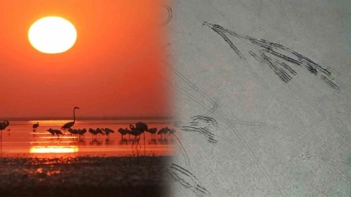 Kuş Cenneti Seyfe G&ouml;l&uuml;, drift&ccedil;ilerin yeni adresi oldu
