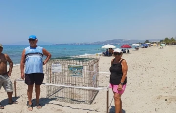 Kuşadası&rsquo;nda caretta yuvaları &ccedil;oğalıyor
