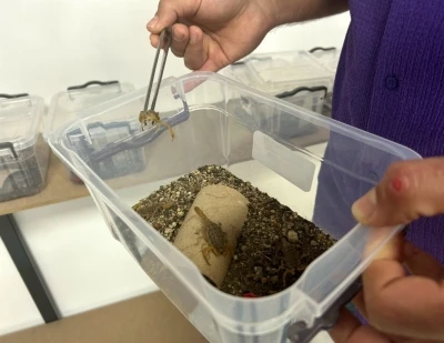 Kuşadası&rsquo;nda sarı akrep ve zehir &uuml;retim tesisi kuruldu
