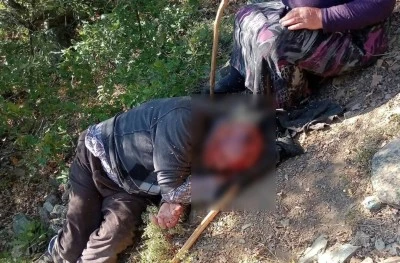 Kuşburnu toplarken 30 metreden yuvarlanıp yaralandı
