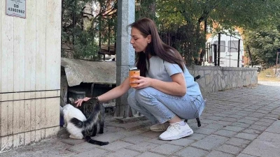 K&uuml;tahya&rsquo;da kedi vahşeti