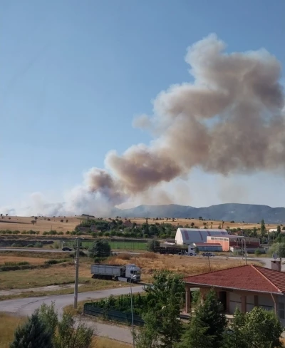 K&uuml;tahya&rsquo;da orman yangını