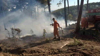 Tavşanlı Tun&ccedil;bilek beldesinde ormanlık alanda yangın