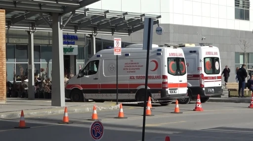 K&uuml;tahya&rsquo;da sahipsiz k&ouml;peklerin saldırısına uğrayan anne ile kızı yaralandı
