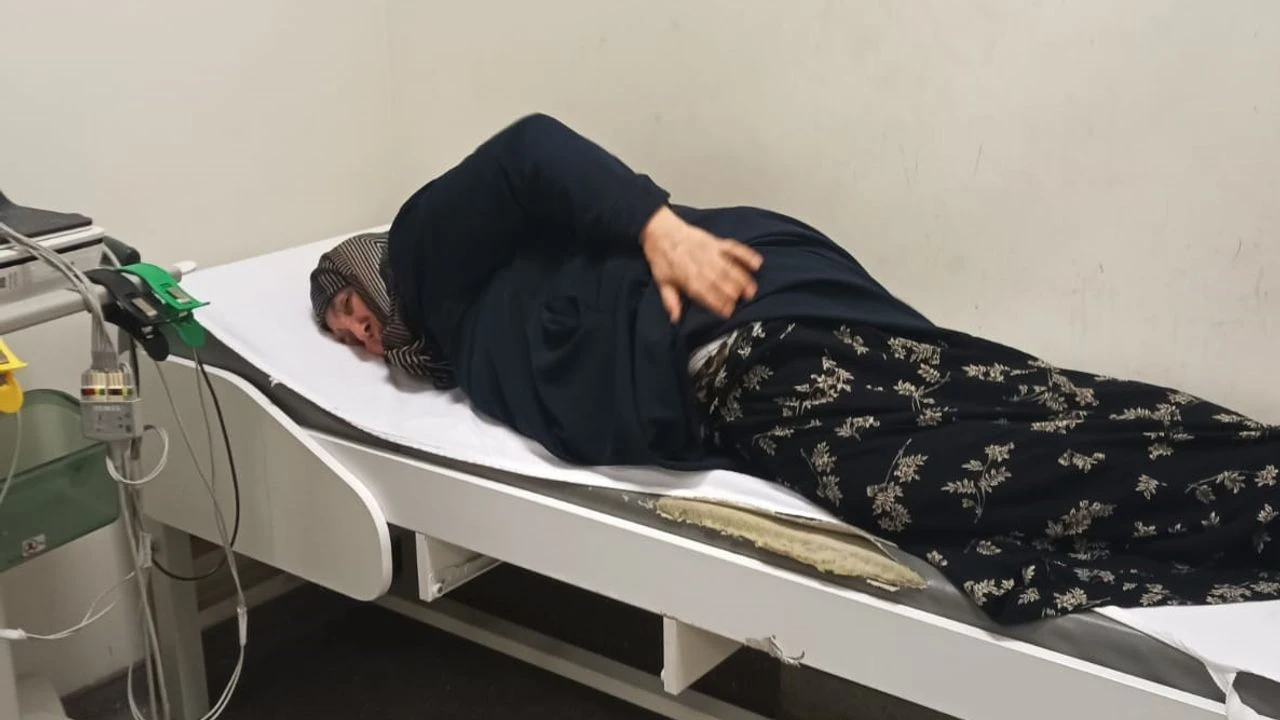 K&uuml;tahya&rsquo;da sokak k&ouml;peklerinin saldırısına uğrayan kadın hastanelik oldu