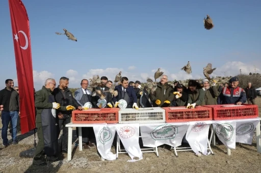 K&uuml;tahya&rsquo;da yaban hayatına destek
