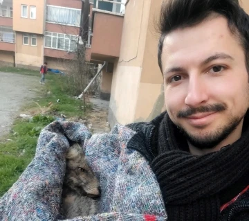 K&uuml;tahyalı hayvan sever ormanlık alanda bitkin halde bulduğu tilkiyi hayata d&ouml;nd&uuml;rd&uuml;
