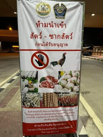 Laos&rsquo;ta şarbon salgını: Vaka sayısı 65&rsquo;e y&uuml;kseldi
