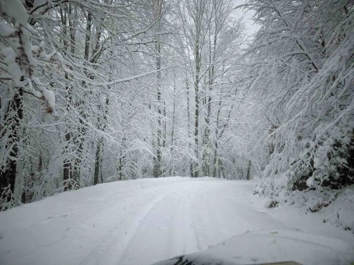 Lapa lapa yağan karda yaylalara &ccedil;ıktılar
