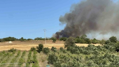 Lapseki&rsquo;deki orman yangınını s&ouml;nd&uuml;rme &ccedil;alışmaları s&uuml;r&uuml;yor