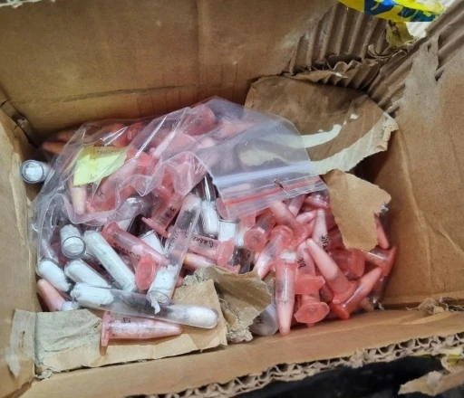 Leopar cinsi kertenkele ve &ouml;r&uuml;mcekler sınırda yakalandı
