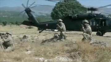 Lice ve Gen&ccedil; kırsalında 16 milyon k&ouml;k kenevir bitkisi ele ge&ccedil;irildi