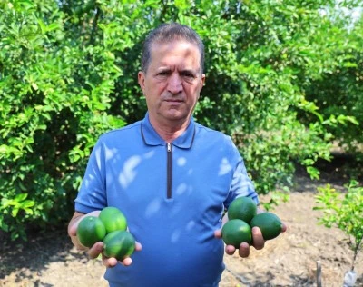 Limon &uuml;reticisinde Rusya endişesi