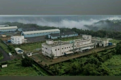 Liposomal Nanoteknolojiyle D Vitamini Takviyelerinde Yeni Bir D&ouml;nem Başlıyor