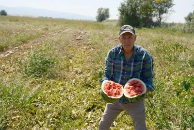 Londra'da kazandı Bursa'da tarıma yatırdı 
