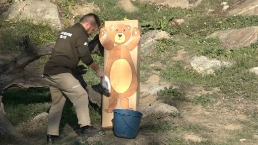 Maket ayıyı g&ouml;ren ayılar şaştı kaldı