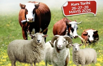 Malatya B&uuml;y&uuml;kşehir Belediyesi&rsquo;nden kurban kesim kursu
