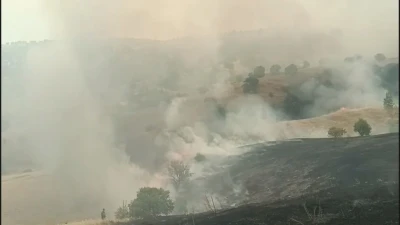 Malatya'da orman yangını