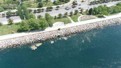 Maltepe sahil şeridinde m&uuml;silaj g&ouml;r&uuml;ld&uuml;
