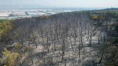 Manisa&rsquo;daki orman yangını kontrol altına alındı