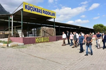 Manisa&rsquo;nın en b&uuml;y&uuml;k il&ccedil;esinde kurban pazarı olmayacak
