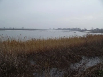 Manyas&rsquo;ta tarlalardaki su pompaları arızalandı
