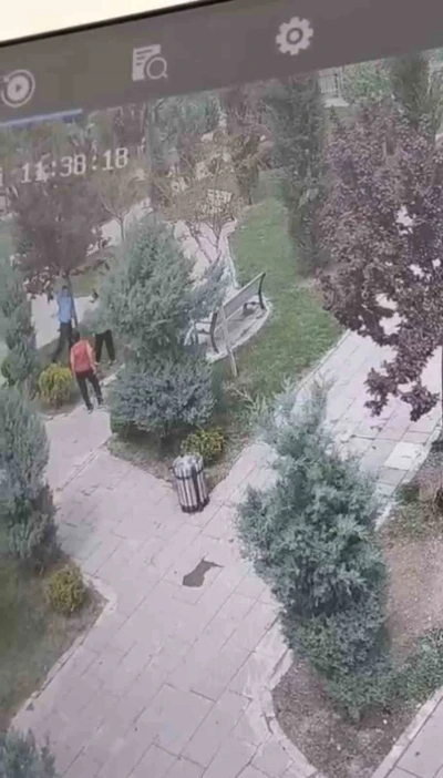 Mardin&rsquo;de ağa&ccedil;lara zarar veren bir grup gen&ccedil;, g&uuml;venlik kameralarına yakalandı
