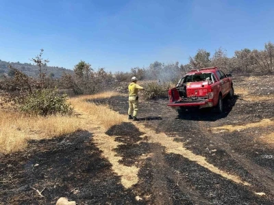 Mardin&rsquo;de &ccedil;ıkan orman yangını s&ouml;nd&uuml;r&uuml;ld&uuml;