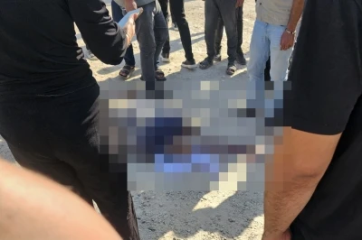 Mardin'de minib&uuml;s&uuml;n &ccedil;arptığı yaya hayatını kaybetti
