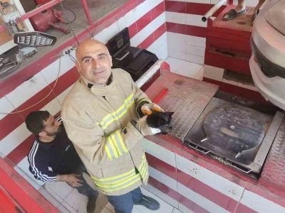 Mardin&rsquo;de otomobilin motor b&ouml;l&uuml;m&uuml;ne sıkışan yavru kedi kurtarıldı
