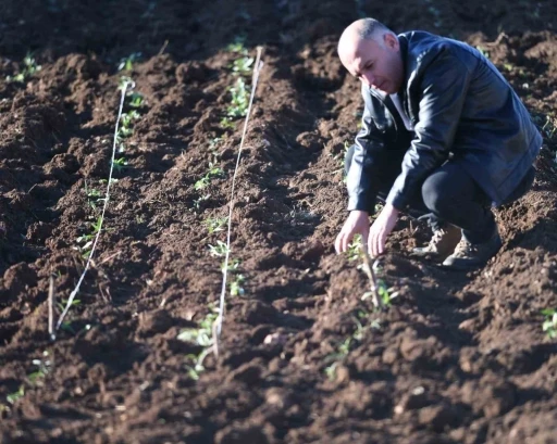 Mardin&rsquo;de sahlep fidesi toprakla buluşturuldu

