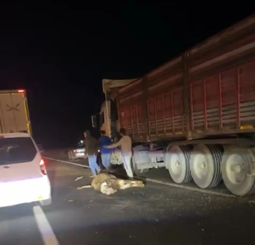 Mardin&rsquo;de tır ile pikap &ccedil;arpıştı: İnekler telef oldu
